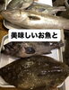「華やかな香りとジューシーな旨味で人気の花陽浴 THE MATCH 純米吟醸 無濾過生原酒。」