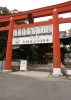 「営業日記～椿神社周辺にて～」