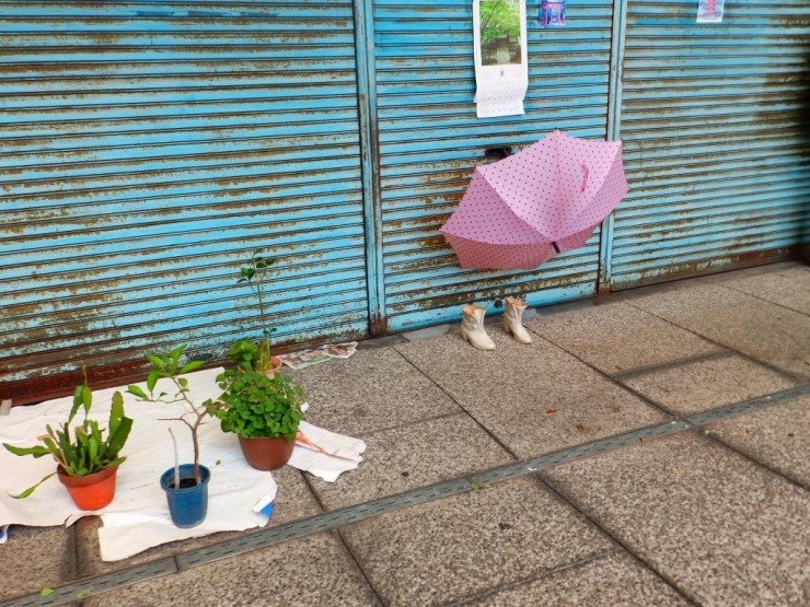 ↑雨上がり限定の出会い、色合いが素敵です。(ポップ)↑