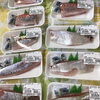 「魚魚市場鮮魚コーナーおすすめは、「シイラ」です♪」