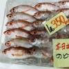 「魚魚市場鮮魚コーナーおすすめは「のどぐろ・白魚」です」