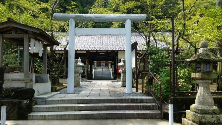和歌山にいくつも存在する「中言神社」。主に名草姫・名草彦が祀られている。<br>その中で、この吉原の「中言神社」が本社。