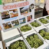 「『市場の日』イベントにご来場いただきありがとうございました。」