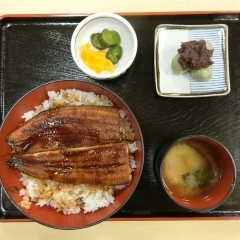 うなぎ丼