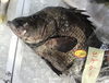 「魚魚市場鮮魚コーナーおすすめは「マグロ・天然ぶり・天然ヒラス」です♪」