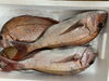 「鮮魚入荷致しました。[岩牡蠣は７月から販売致します。]」