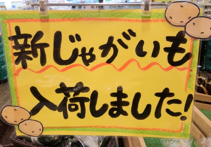 本日も新じゃがいも入荷しております「あまーいとうもろこし⭐数量限定⭐」