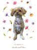 「Dog salon mofu mofu　余市町」