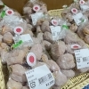 「新春初売り 本日16時閉店となります！道の駅木曽福島」