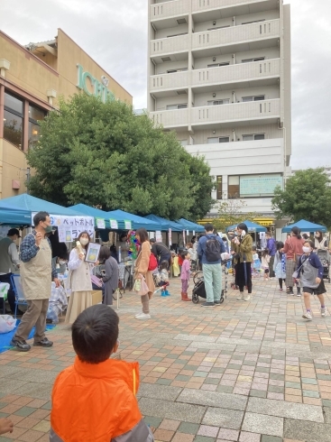 大勢の人で賑わってました「マルシェご来店頂きありがとうございました✨」