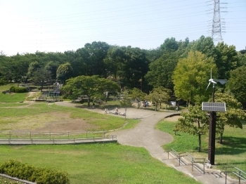 緑豊かで遊歩道があります