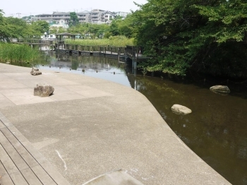 池の上にも遊歩道が通っています