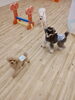 「ましゅまろ幼稚園　^ - ^」
