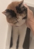 幸実ちゃん ヨロシクね〜和やかにお世話はスタート「ご希望に沿ったシッティングで愛猫の快適なお留守番をサポートします〜トイレ編」