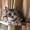 外村さん家の　ロアくん（枚方）