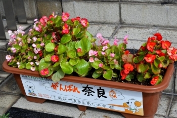 開場前には各都道府県の応援花壇がありました。