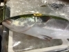 「魚魚市場鮮魚コーナーおすすめは「シビマグロ・アマダイ」です♪」