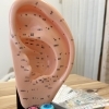 耳ツボジュエリーじっくりコース