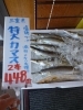 「特大の”カマス”を塩焼きで召し上がれ！　今日は完売！明日も入荷しますヨ！【八千代店３５号】」