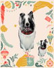 「Dog salon mofu mofu　余市町」
