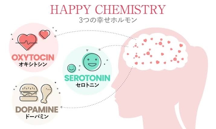 ヘッドスパによる効果効果2「シェブルのヘッドスパのご紹介」