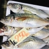 「魚魚市場鮮魚コーナーおすすめは「さより・ヤリイカ」です♪」
