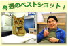 「今週のベストショット！ です！！」
