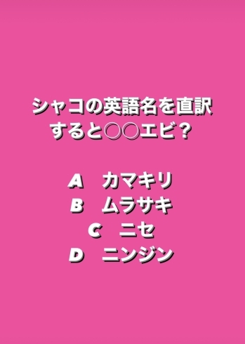 2月5日金曜日 今日のクイズ シャコの英語名を直訳すると エビ A カマキリ B ムラサキ C ニセ D ニンジン 本日のおすすめmenu ぶりかつ丼 680円 7枚入です 漁協の食堂でお魚ランチはいかがでしょうか 地魚食道 瓢のニュース まいぷれ 新潟市 2月5日金曜日 今日のクイズ シャコの英語名を直訳すると エビ A カマキリ B ムラサキ C ニセ D ニンジン 本日のおすすめmenu ぶりかつ丼 680円 7枚入です 漁協の食堂でお魚ランチはいかがでしょうか 地魚食道 瓢のニュース まいぷれ 新潟市