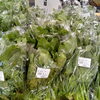 「秋の味覚が勢ぞろい！お祭りの準備にもおすすめの鮮魚＆地元・新居浜産の旬野菜で食卓を彩りませんか？」