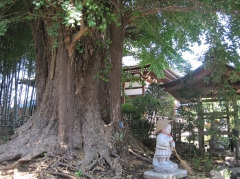 かわいいお地蔵様が守っています。