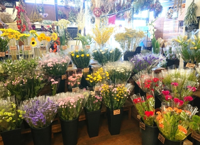 「【はなやHOK皆生店】お盆のお花あります」