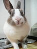 「メンタルケア」