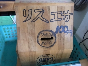 リスのえさは1箱100円。<br>ひまわりの種が入っています。