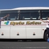 コメリハード グリーン下福井店 花 ガーデニング まいぷれ 舞鶴 綾部 福知山