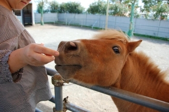 動物って、かわいいなぁ～