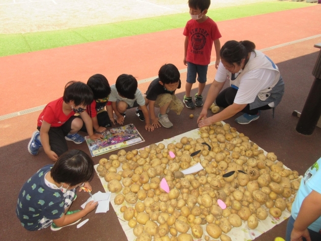 じゃがいもアートで食ぱんマン「じゃがいも掘り」