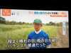 今回は２箇所の畑で取材となりました。「☆カラフル野菜の小山農園『Nスタ』無事にオンエア📺☆」