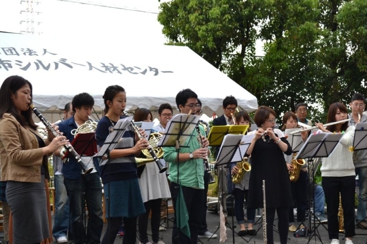 大人びて落ち着いた音色が門真もんのオープニングを彩ります。