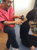 トントンハンマー整体　肩「コロナで肩こり急増」