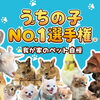 癒したい！　癒されたい！　～我が家のペット紹介します～
