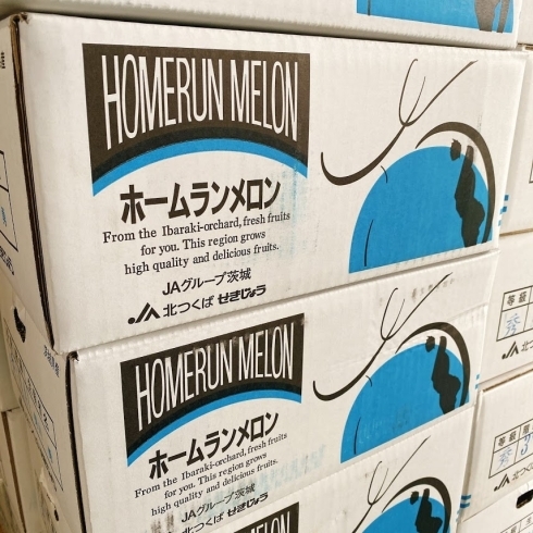 「茨城県産「ホームランメロン」の入荷が始まってます♪♪」