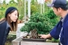 藤江れいな　盆栽　職人