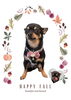 「Dog salon mofu mofu　余市町」