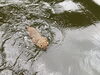 「連休中のアクティビティー♪」