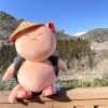 「南木曽地域の伝統工芸品『なぎそねこ』入荷します！道の駅木曽福島」