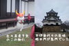 「彦根って来ました（超有名戦国猫とも遭遇にゃん）」