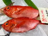 「魚魚市場鮮魚コーナーおすすめは「イサキ・金目鯛」です♪」