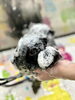 やさしくキレイにシャンプーしていきますよ🫧「はじめまして　サロンデビューです」
