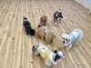 もう入っていないのに探し続ける数名…🤣「ましゅまろ幼稚園🐾」