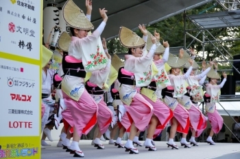 阿波踊り (新宿区役所つつじ連)